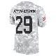 ＃29 Youth Minkah Fitzpatrick Arctic Camo Limited Miami Dolphins 2024 Salute to Service Jersey